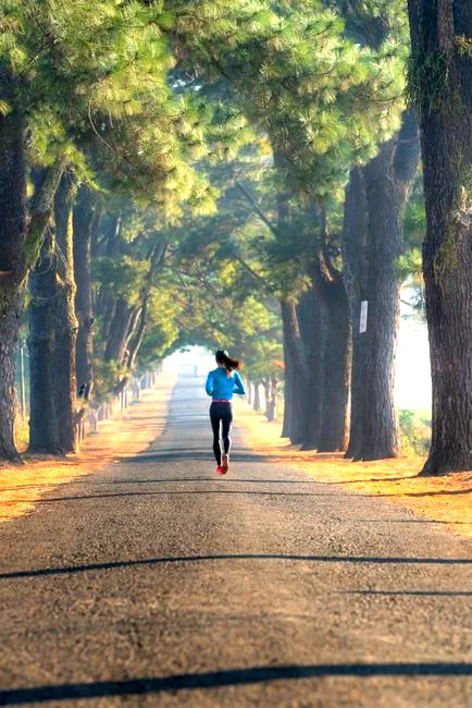the runner's high