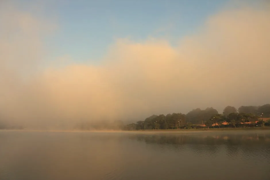 birdsong at dawn