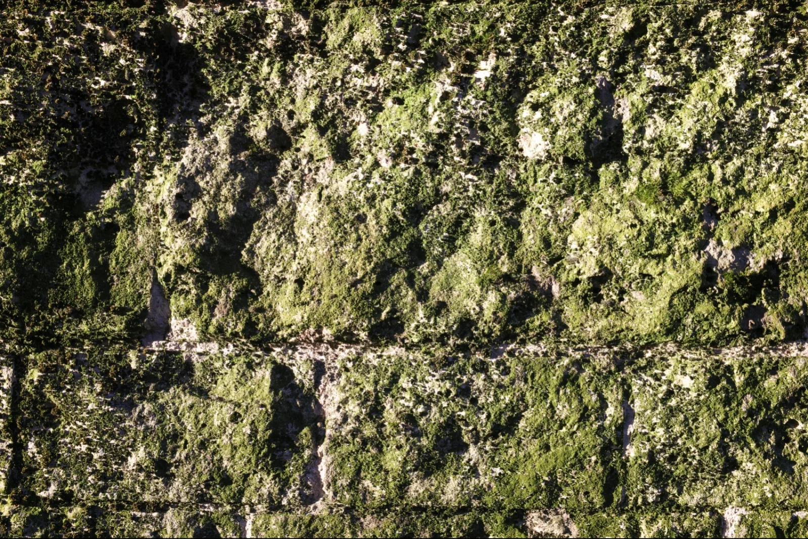 Green wall -- Paris