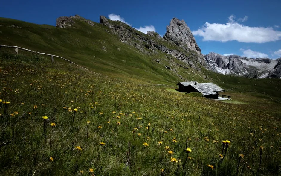 wildflower trail
