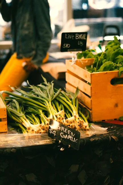 fermentation station