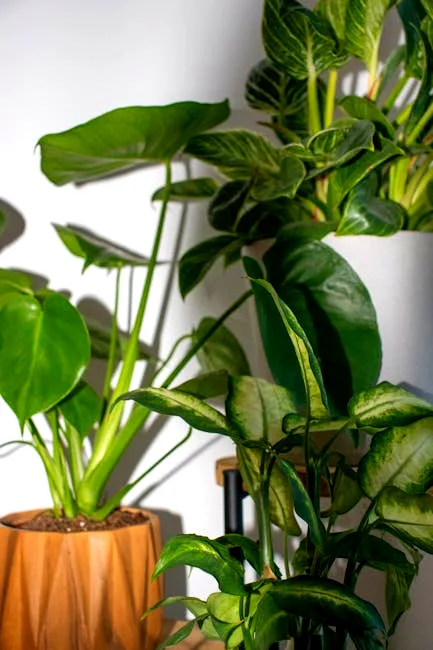 aerial roots