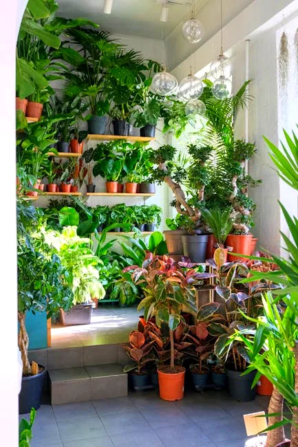 the prayer plant praying