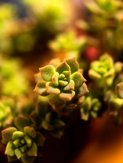 spring growth spurt