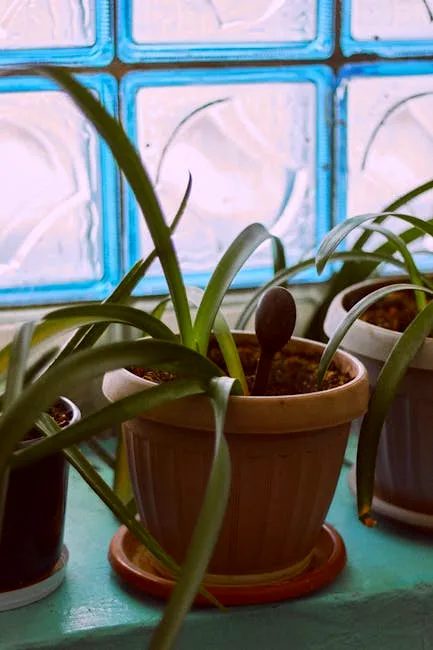 the variegation!