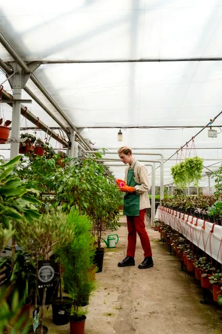 repotting chaos