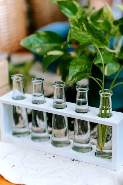 humidity tray setup
