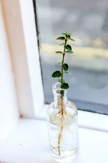 growth update