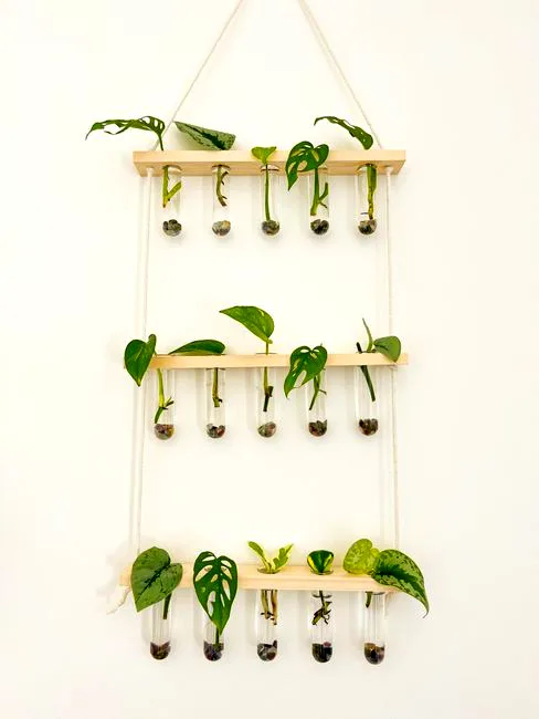 new leaf alert