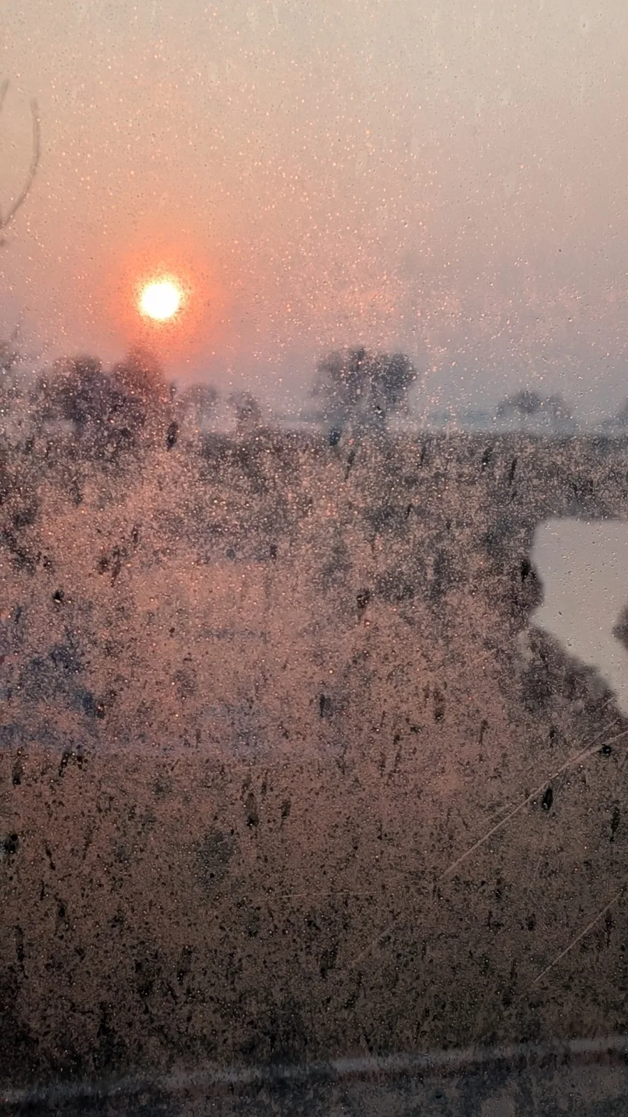 zonsopkomst