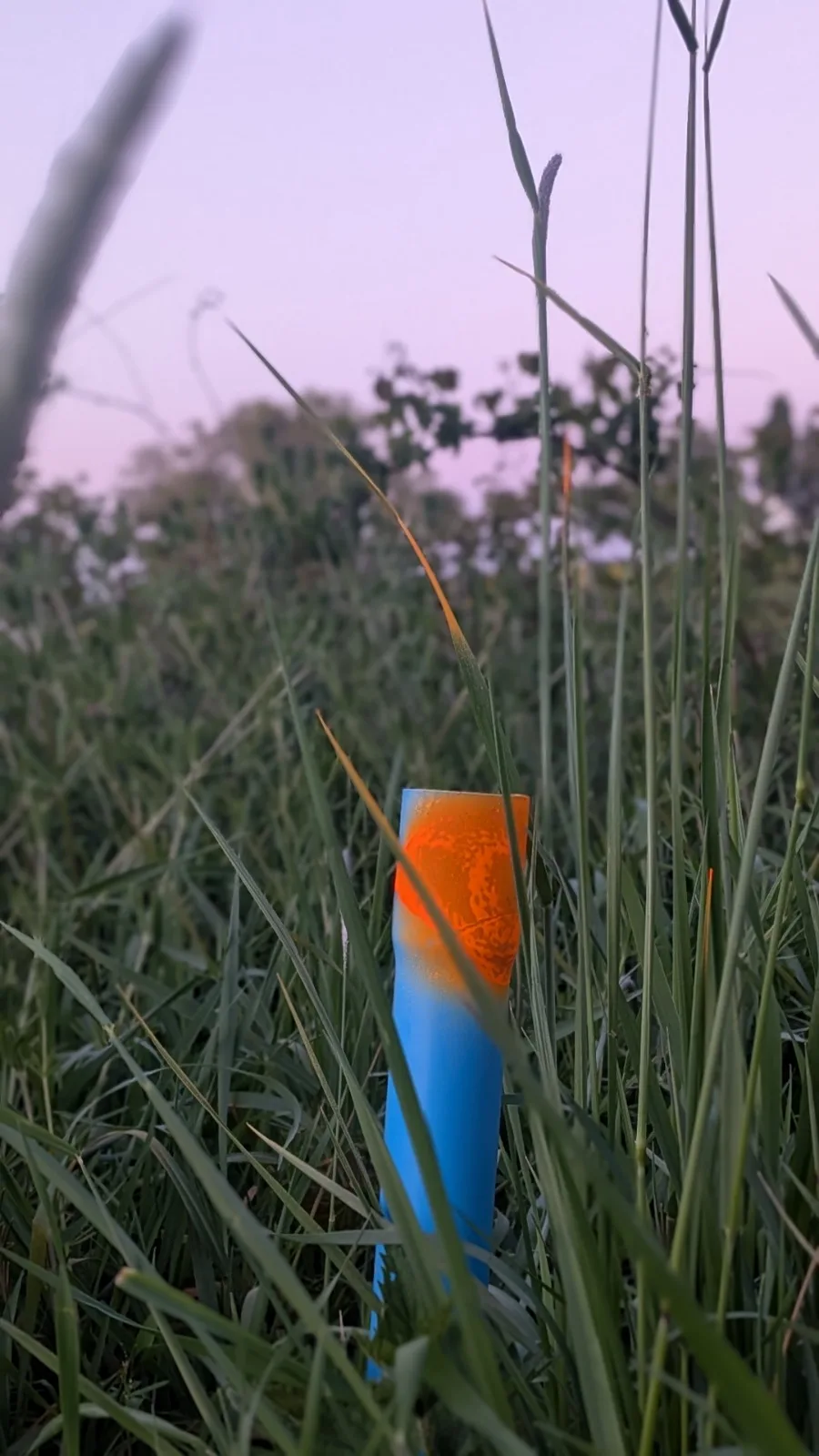 paaltje