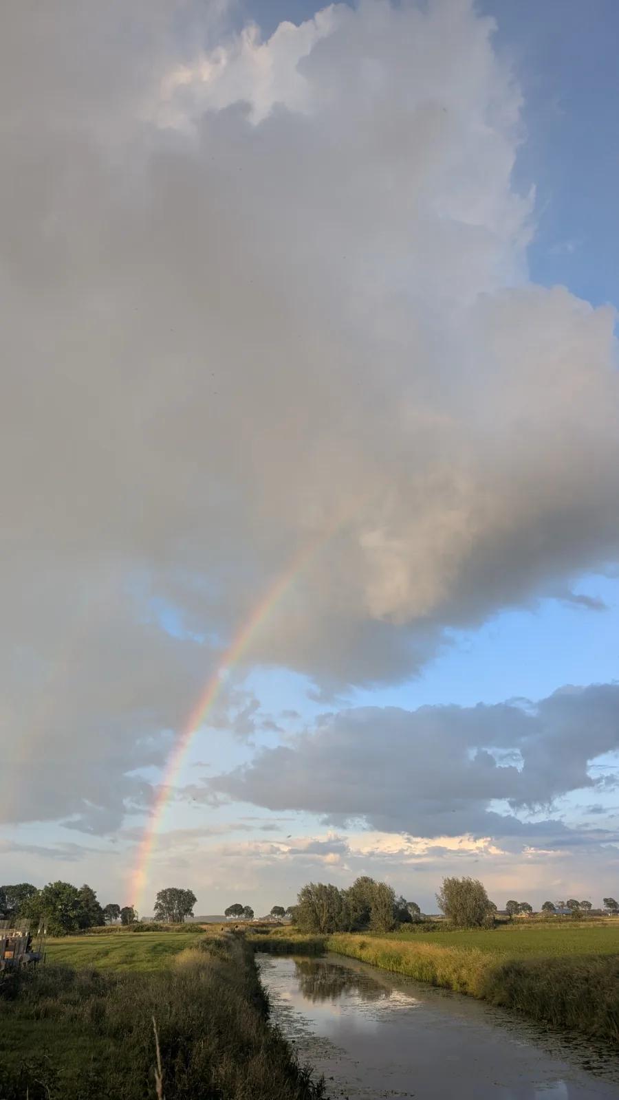 regenboog