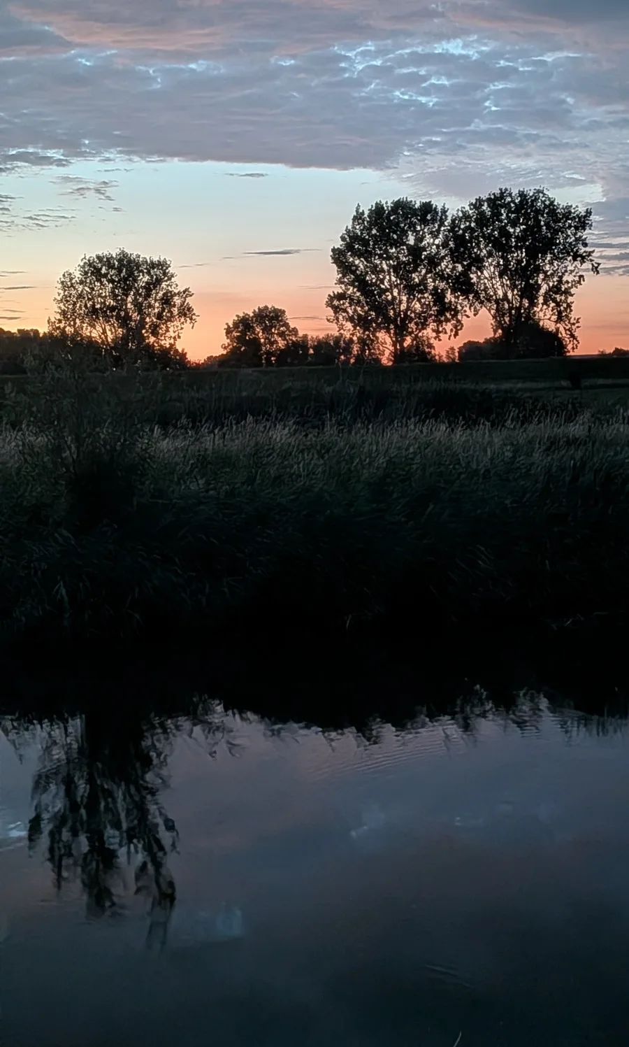 avondlicht