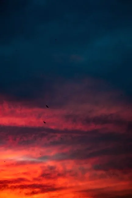 tonight's sky