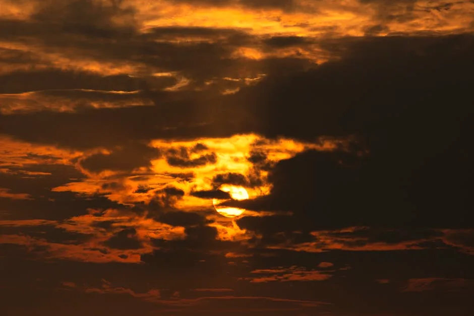tonight's sky