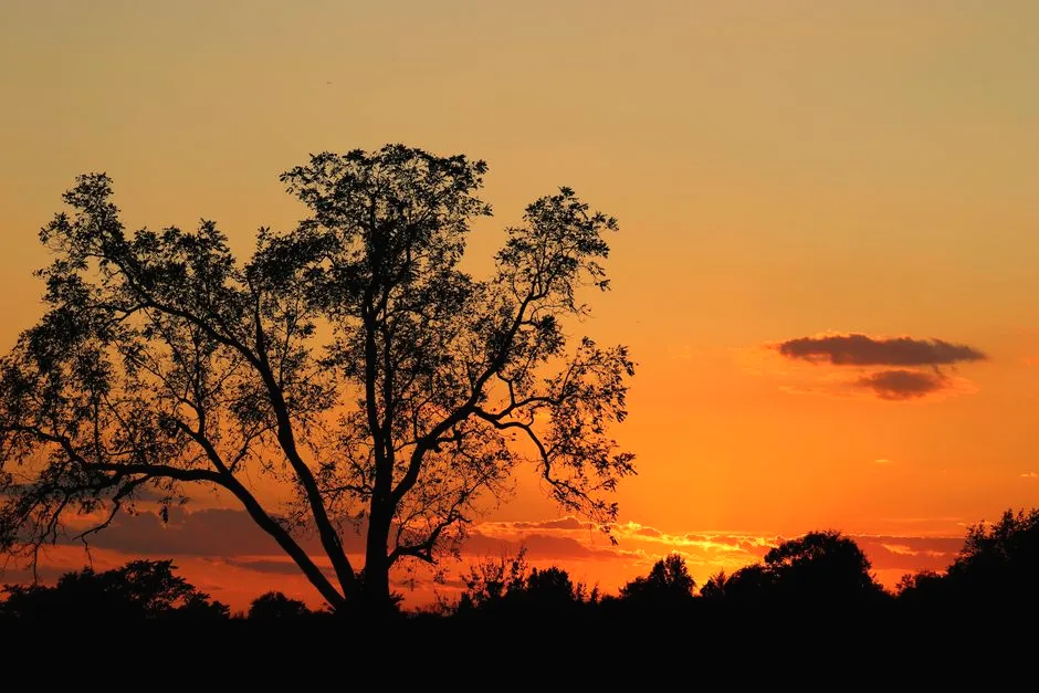 the sun dips