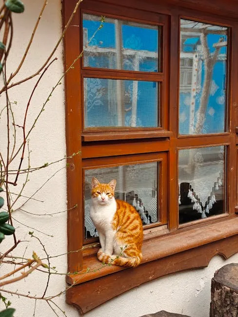 kitchen supervisor