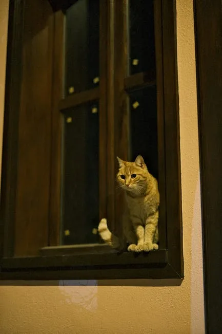 window patrol