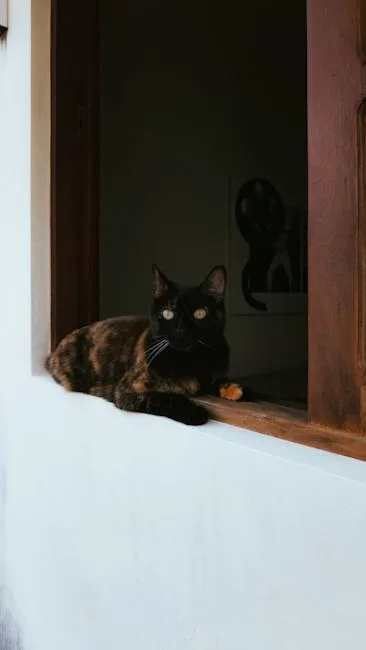 chair thief