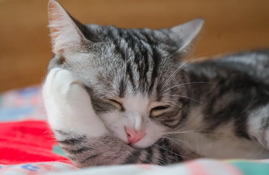 perfectly loafed
