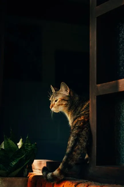 paper bag adventure