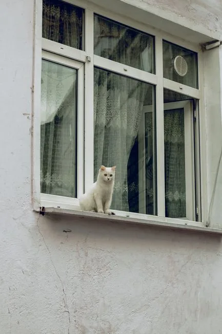 perfectly loafed