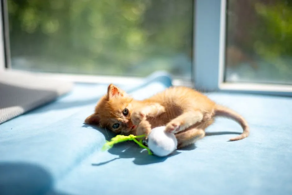 morning stretch