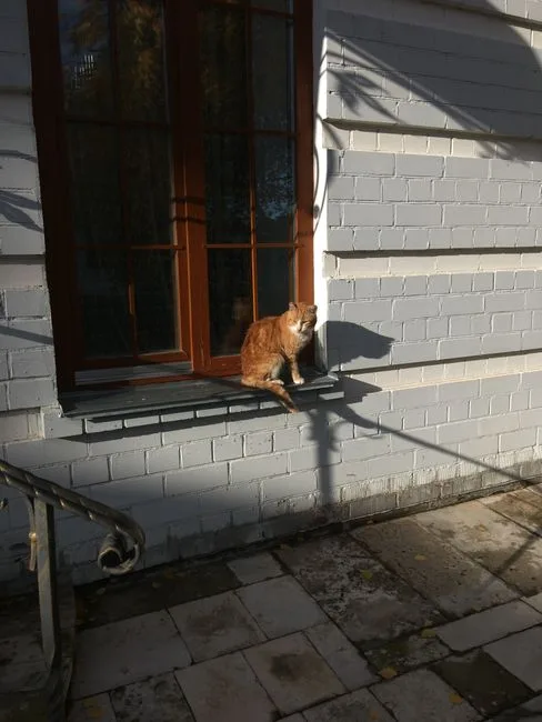 box inspector
