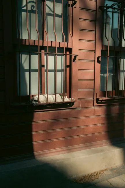 window patrol