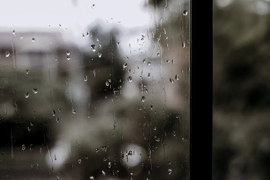 wet city
